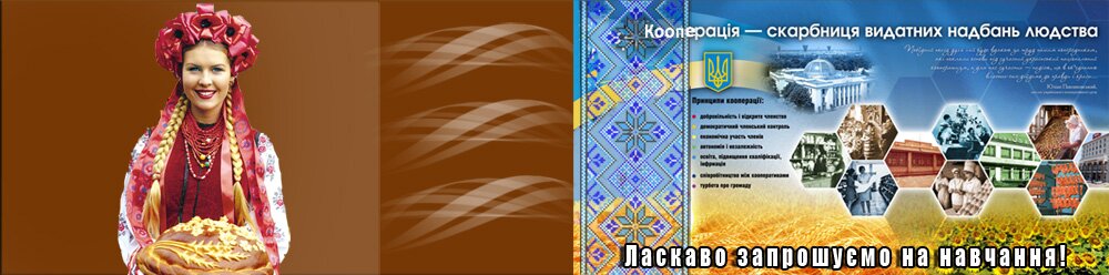 VTEM Banners